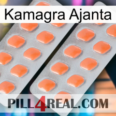 Kamagra Ajanta 27